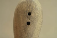 Brian Piccirillo