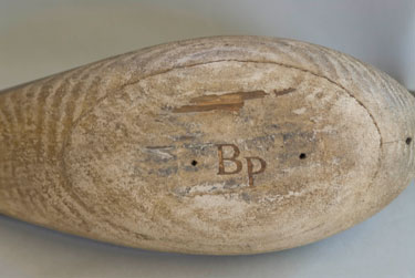 Brian Piccirillo