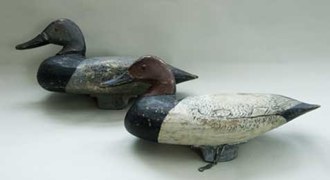 Doug Jester Canvasback Pair