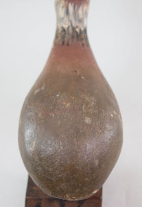quail