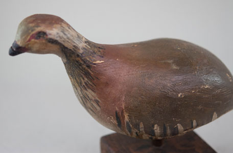 quail
