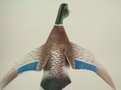 Unknown Mallard