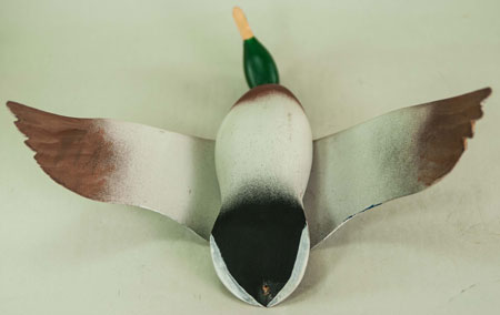Unknown Mallard