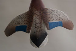 Mallard Flyer