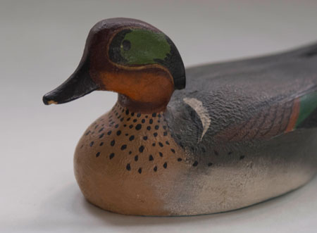 Ward Brothers Green Winged Teal