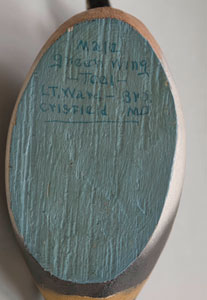 Ward Brothers Green Winged Teal