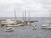 Maryland Skipjack Race